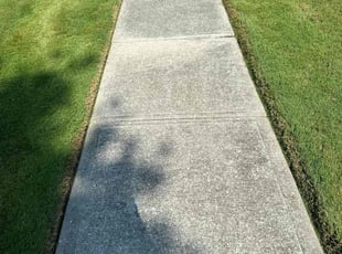 Kathleen K.'s lawn care services service result