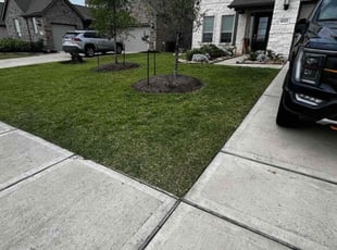 Nadeine M.'s lawn care services service result