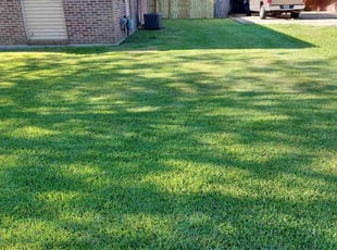 Tangela R.'s Long Grass Cleanup service result