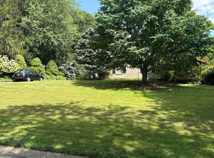 Courtney B.'s lawn care services service result
