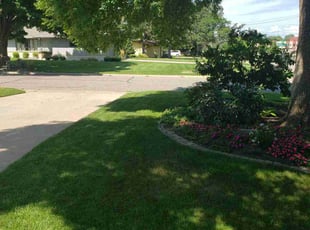 Kristi Y.'s grass maintenance service result