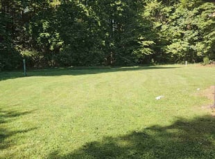 Angel D.'s grass cutting service result