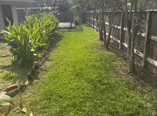 Christopher C.'s turf maintenance service result