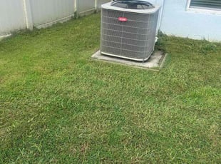 Bonnie V.'s lawn care service result