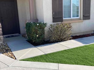 Kasey B.'s Bush Trimming service result