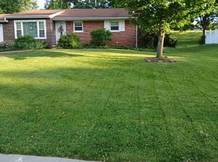 Delphine L.'s turf maintenance service result