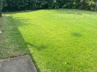 Elaine V.'s lawn maintenance service result