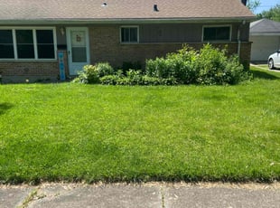 Sharon T.'s lawn service service result