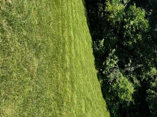 Rebekah J.'s lawn care service result