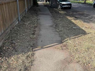 Ryan J.'s Long Grass Cleanup service result