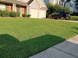 Lisa P.'s grass cutting service result