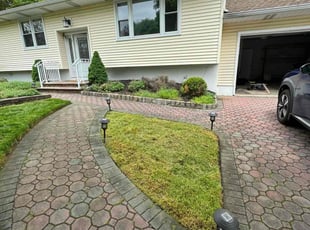 Luis S.'s lawn maintenance service result