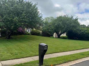 Cody S.'s turf maintenance service result