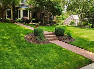 Amy P.'s grass maintenance service result