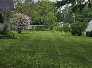 Deo M.'s grass cutting service result