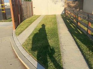 Dennis D.'s residential landscaping service result