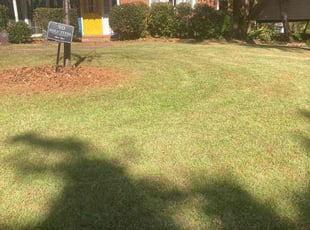 Krish S.'s gardening service service result