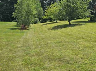 Susan D.'s lawn maintenance service result