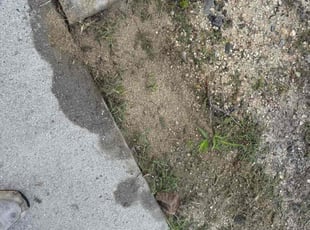 Bruce G.'s Other service result