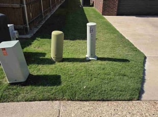 Reyes R.'s grass cutting service result