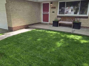 Augusto G.'s turf maintenance service result