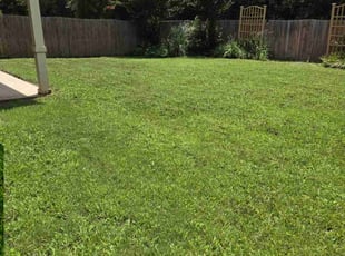 Brittany S.'s lawn care service result