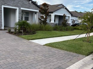 Shadarie B.'s lawn care service result