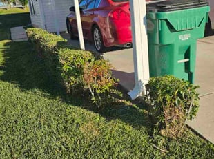 Vernon H.'s Bush Trimming service result