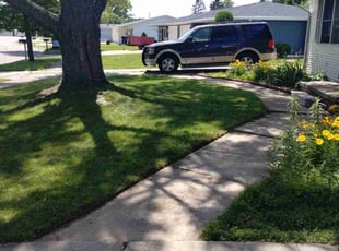 Cathy T.'s landscape maintenance service result