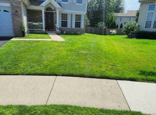 Arthur W.'s lawn care services service result