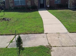 Kathy P.'s lawn care service result