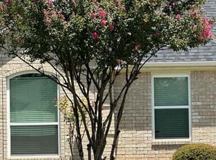 Kevin R.'s Tree Trimming service result