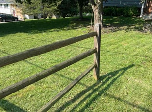 Michael B.'s lawn service service result