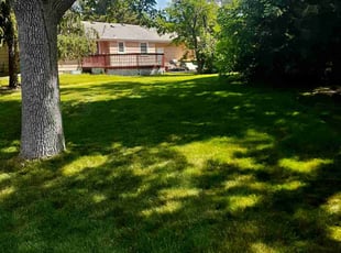 Rushawna M.'s lawn care service result
