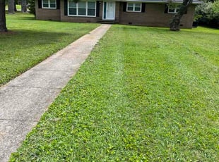 Pamela B.'s grass maintenance service result
