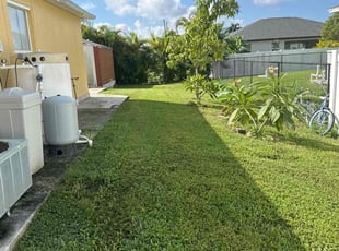 Peter M.'s grass cutting service result