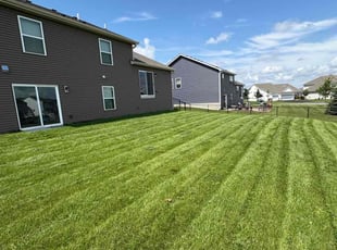 Dennis K.'s lawn care service result