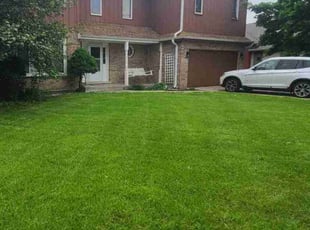 Gerard G.'s turf maintenance service result