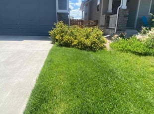 Grant W.'s lawn care service result
