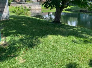 Chris S.'s grass cutting service result