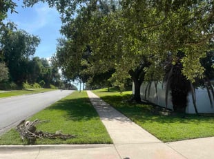 Kathleen S.'s lawn service service result
