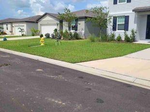 Cristin C.'s turf care service result