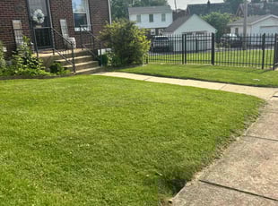 Marlene B.'s lawn maintenance service result