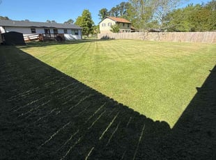 Jasmine A.'s lawn care services service result