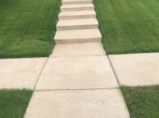 Adam S.'s turf care service result