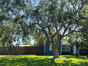 Shawn Joy C.'s turf maintenance service result
