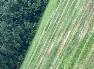 Setrag K.'s lawn care service result