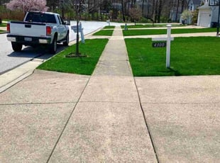 Vonda L.'s lawn care services service result