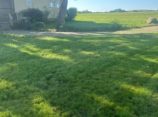 Don S.'s turf maintenance service result