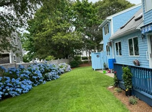 Don W.'s landscape maintenance service result